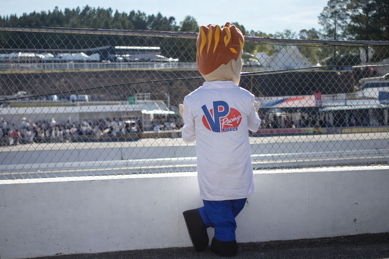 Why Purchase from ROC