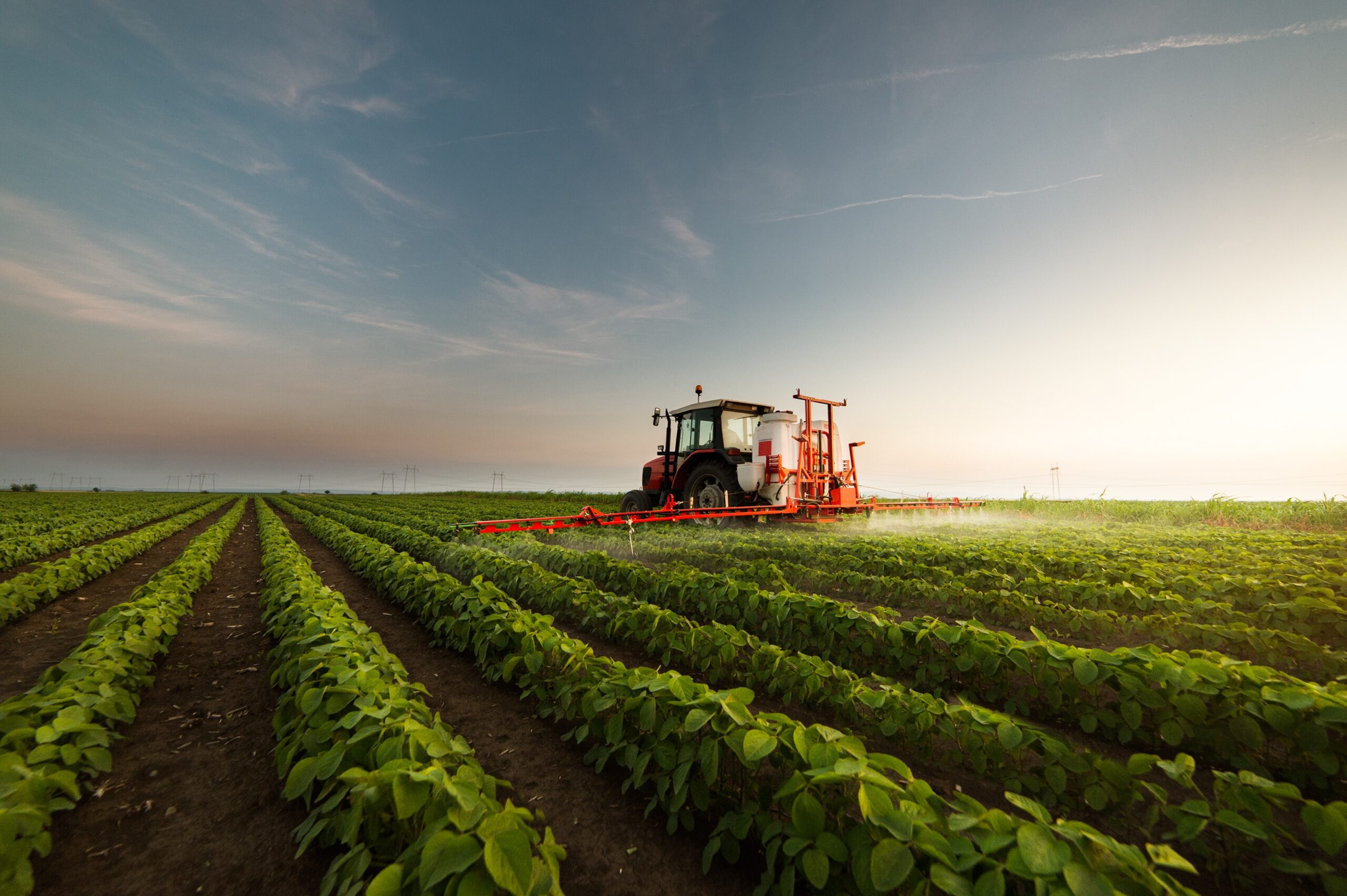 Why Purchase Biodiesel from ROC?