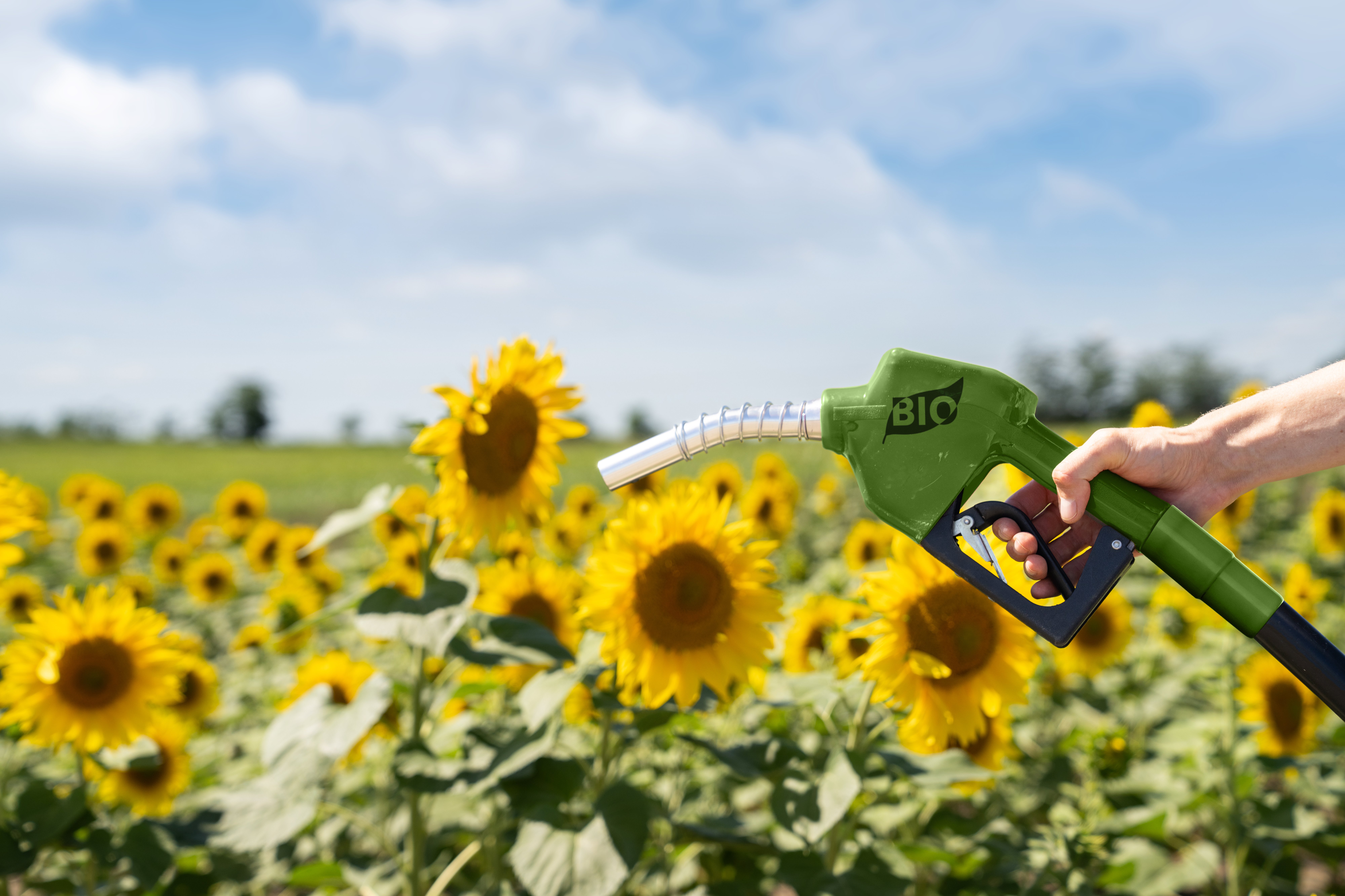 Benefits of B5 Biodiesel